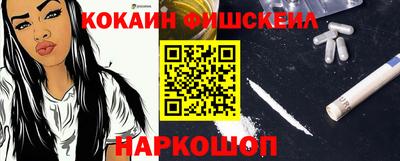 мет Камышлов
