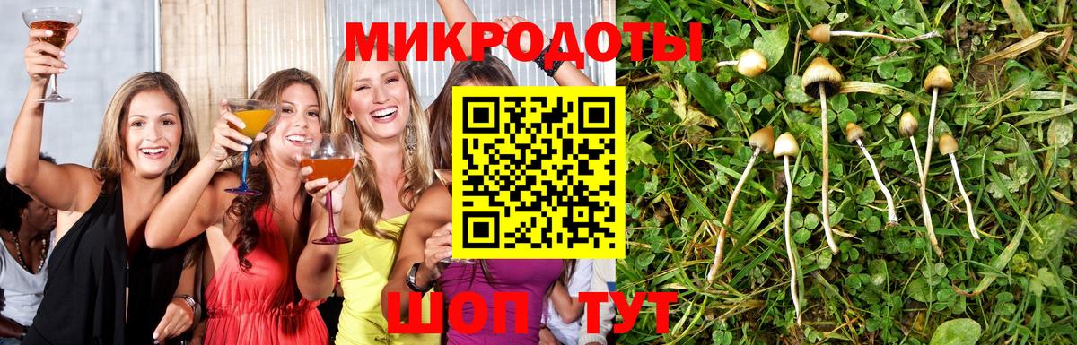 Галлюциногенные грибы Magic Shrooms  Галлюциногенные грибы Magic Shrooms  Кропоткин  Вход с VPN 